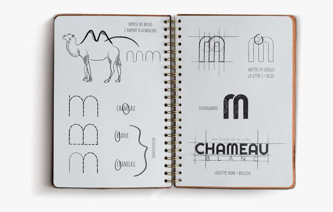 Carnet de la réalisation du logo chameau blanc