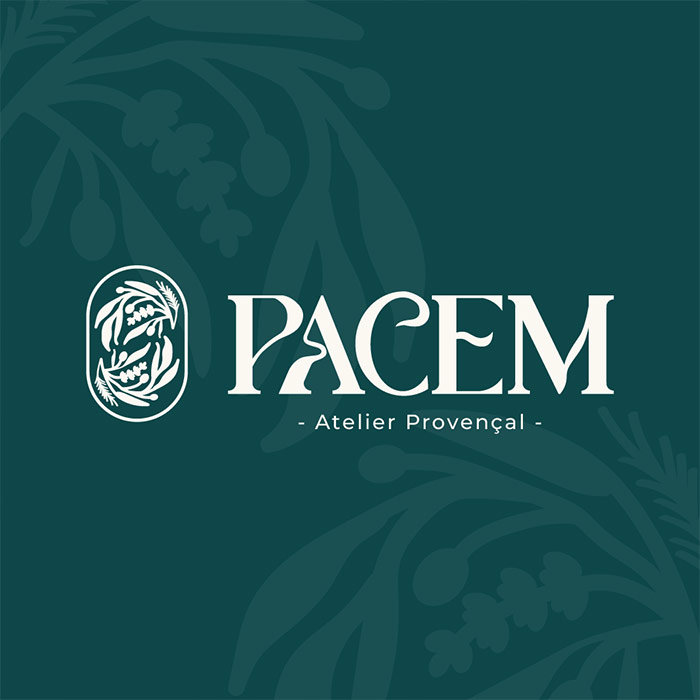 PACEM-1